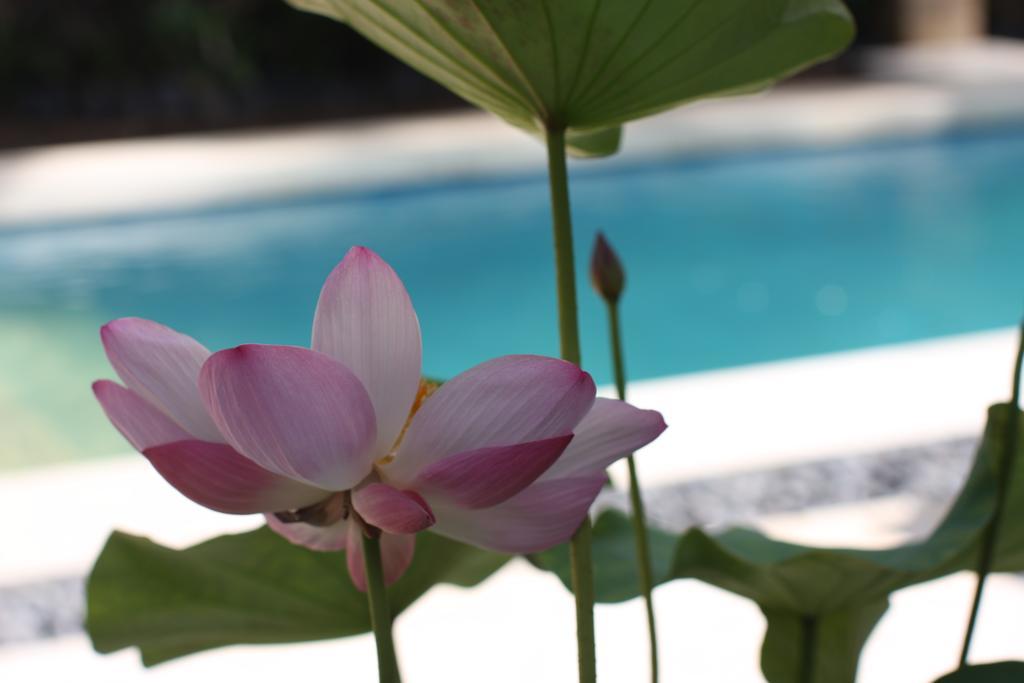 Villa Alu Lima Seminyak  Room photo